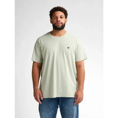 Afbeelding van Petrol Industries Tshirt basic, Heren, Maat: 4XL, Desert sage