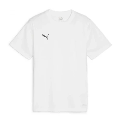 Afbeelding van PUMA teamGOAL Jersey Jr