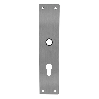 Afbeelding van Intersteel renovatieschild rechthoekig 250x55x2mm profielcilindergat 55mm RVS