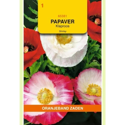 Afbeelding van Papaver, Klaproos Shirley