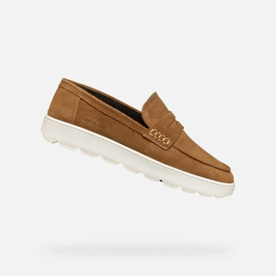 Afbeelding van Geox Spherica ECUB Instappers, Heren, Maat: 43, Toffee Veloursleer