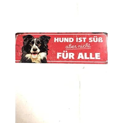 Afbeelding van D&amp;d Home Waakbord Hond Waarschuwingsbord Collie De 40x13x0,3cm Rood 1st