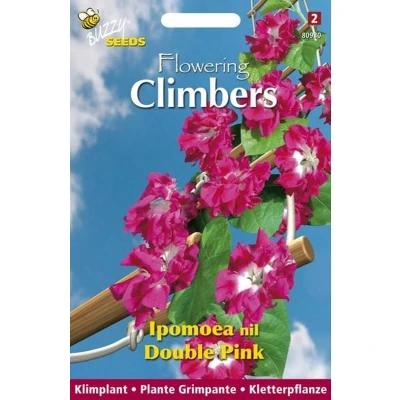 Afbeelding van Climbing Flowers Ipomoea, Klimmende winde, Roze, dubbelbloemig