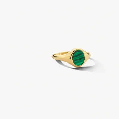 Afbeelding van Blush Zegelring 1214YMA 14k Geelgoud met Malachiet Zegelringen 14 Karaat goud