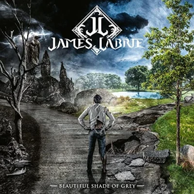 Afbeelding van James Labrie Beautiful Shade of Grey (2 LPs)
