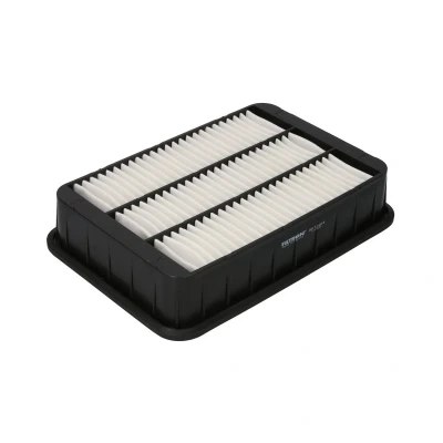Afbeelding van Filtron Luchtfilter AP 120/4