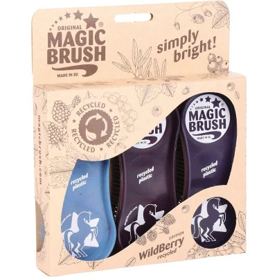 Afbeelding van Kerbl MagicBrush Reclycled Borstelset