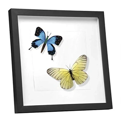 Afbeelding van EUGAD 3D fotolijst om te vullen, objectlijst 40 x cm, diepe lijst voor objecten tot 1,5 collage houten met papier passe partout, zwart