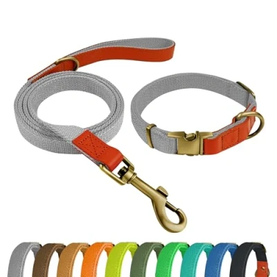 Afbeelding van QRDA Hondenhalsband en Riem Set Zilvergrijs Gepersonaliseerde Verstelbare Tactische voor Honden Kleine Middelgrote