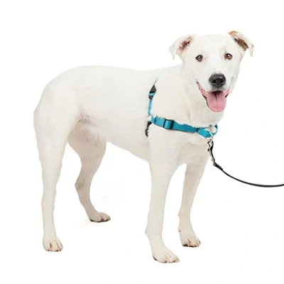 Afbeelding van PetSafe EWH D HC M/L OCN Deluxe Easy Walk, M/L, blauw, nylon, oceaan/zwart,