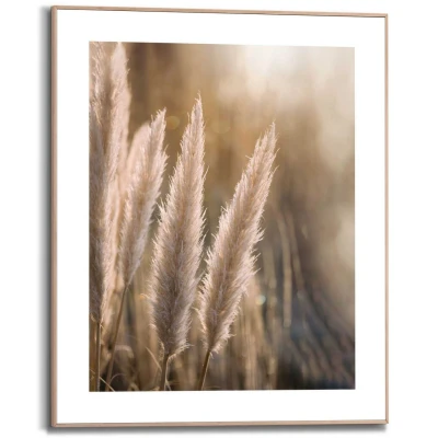Afbeelding van Reinders! Artprint PAMPAS