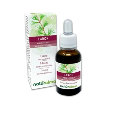 Afbeelding van Larch of Lariks (Larix decidua) Naturalma Bachbloesems Druppels 30 ml alcoholvrij vloeibaar extract Bloesemessences Veganistisch en