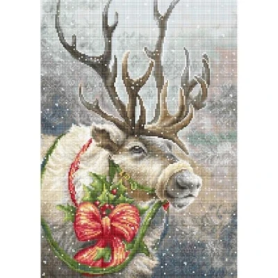 Afbeelding van Luca S B598 kruissteekset, meerkleurig, 19 x cm