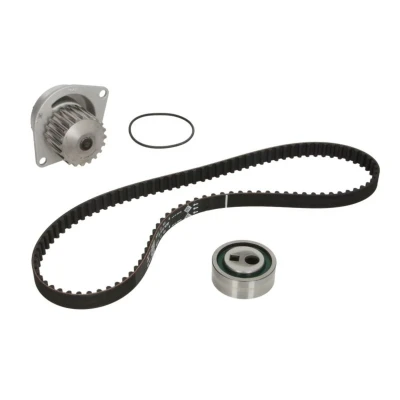 Afbeelding van Ina Distributieriem kit incl.waterpomp 530 0252 30