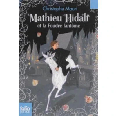 Afbeelding van Mathieu Hidalf 2/Mathieu et la foudre fantome