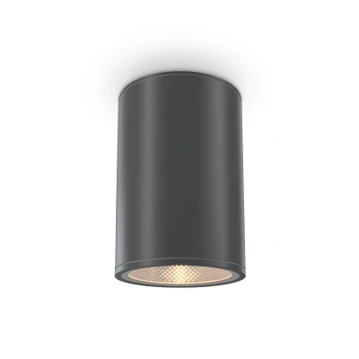 Afbeelding van Maytoni Outdoor Plafondlamp Bar Grafiet Ø10,8