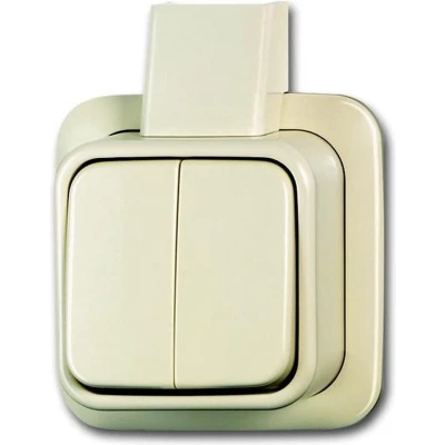 Afbeelding van Busch Jaeger BD2000 Serieschakel. 2V Creme 2601/5 APJ