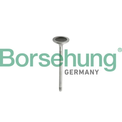 Afbeelding van Zuigerveerset Borsehung B10343