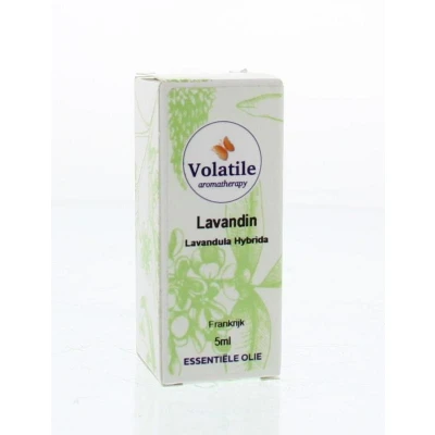 Afbeelding van Volatile Lavandin 5 ml