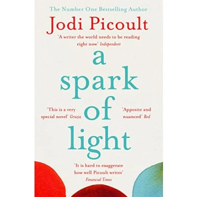 Afbeelding van A Spark of Light: Jodi Picoult