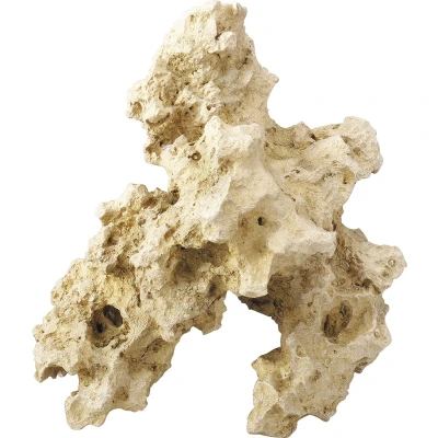 Afbeelding van Aqua Della Aquariumdecoratie Vissen Combo Sea Xl 30x24,5x31cm 1st