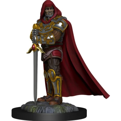 Afbeelding van Dungeons and Dragons Miniatures Nolzur&#039;s Marvelous Human Male Paladin Miniatuur Ongeverfd