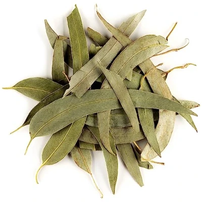 Afbeelding van Eucalyptus Bio Losse Thee Bladeren Zacht Zwartvoetskruid Bladen 100g