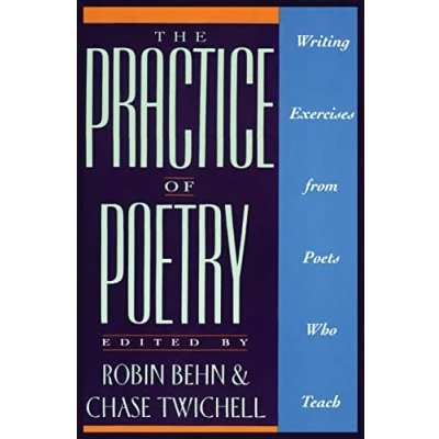Afbeelding van The Practice of Poetry: Writing Exercises from Poets Who Teach