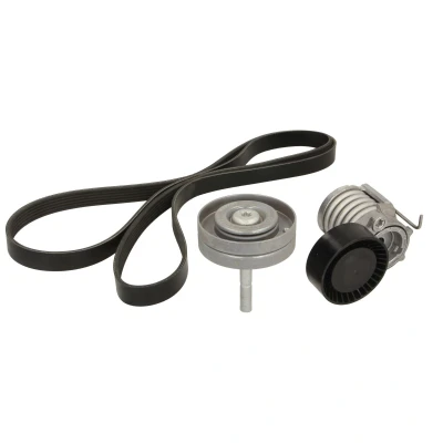 Afbeelding van Poly V riem set INA 529 0090 10