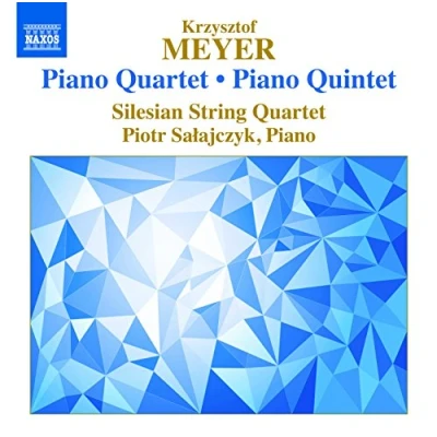 Afbeelding van Silesian String Quartet &amp; Piotr Salajczyk Piano Quartet/Piano Quintet (CD)