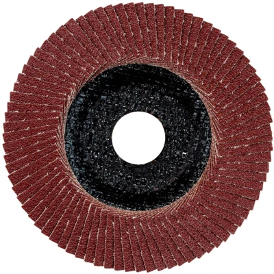 Afbeelding van Metabo 624395000 Lamellenschijf Boordiameter 22.23 mm 10 stuk(s)