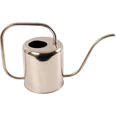 Afbeelding van Esschert Design Bloemengieter RVS 1.5L
