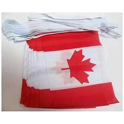 Afbeelding van Canada 4 meter BUNTING Vlag 20 vlaggen 6&#039;&#039; x 4&#039;&#039; Canadese STRING 10 15 cm AZ FLAG