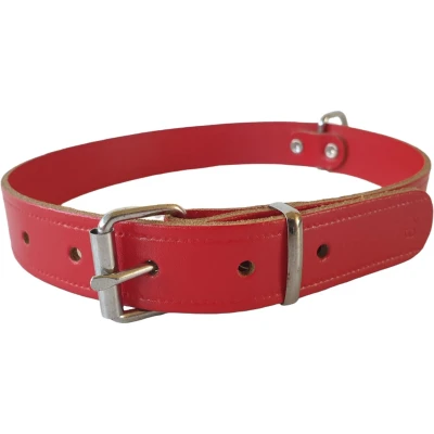 Afbeelding van Beeztees hondenhalsband, leer, 47 57 x 2,5 cm, rood