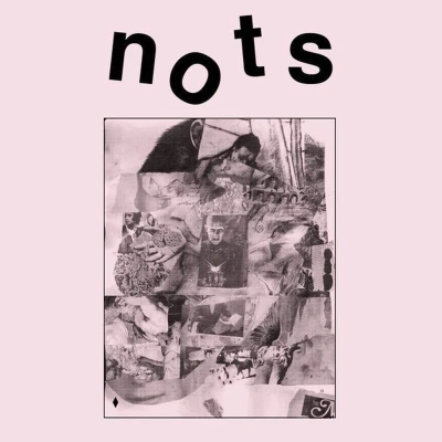 Afbeelding van Nots We Are (LP)