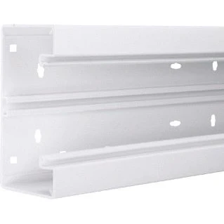 Afbeelding van Hager tehalit br wandgoot c profiel kunststof met koppelstuk bxdxl 170x68x2000mm wit ral9016 br6517019016