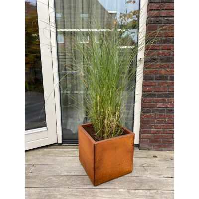 Afbeelding van Cortenstaal Plantenbak 50 x cm Bloembak