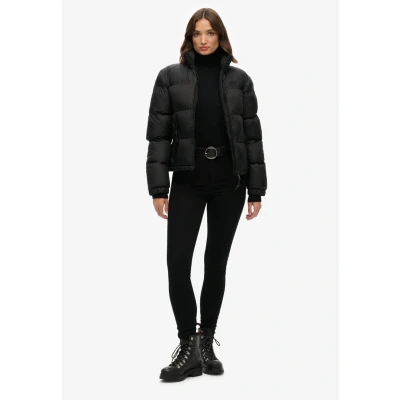 Afbeelding van Donsjas Superdry PADDED NON HOODED PUFFR JKT