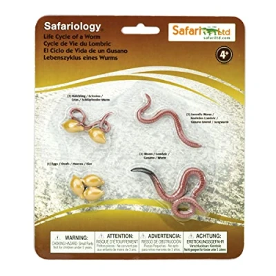 Afbeelding van Levenscyclus worm Safari Ltd