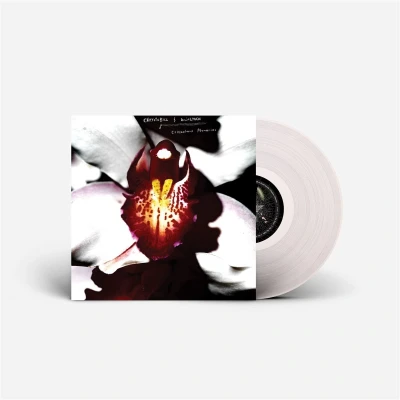 Afbeelding van David &amp; Chrystabell Lynch Cellophane Memories (LP)