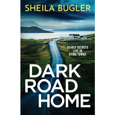 Afbeelding van Dark Road Home: A tense and gripping Irish crime thriller