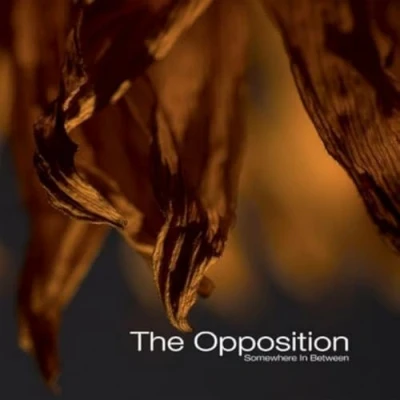 Afbeelding van The Opposition Somewhere In Between (LP)