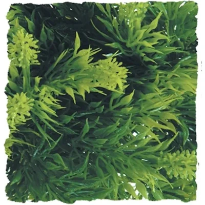 Afbeelding van Zoomed Naturalistic Flora Malasian Fern Large