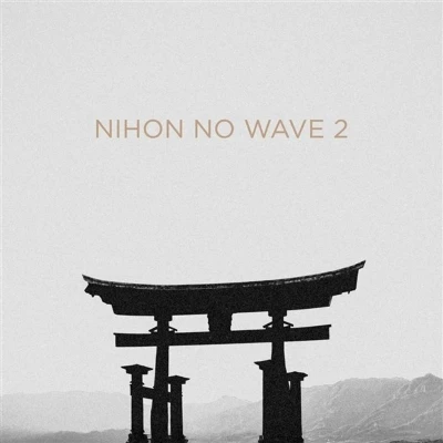 Afbeelding van Various Nihon No Wave 2 (2 LPs)