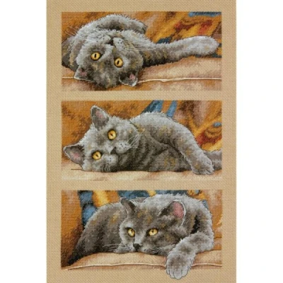Afbeelding van Dimensions getelde kruissticks set, Max The Cat