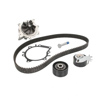 Afbeelding van Waterpomp + distributieriem set INA 530 0691 30
