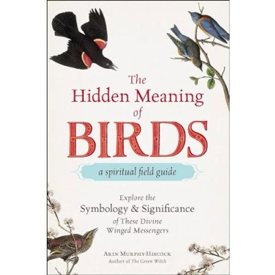 Afbeelding van the Hidden Meaning of Birds A Spiritual Field Guide: Explore Symbology and Significance These Divine Winged Messengers