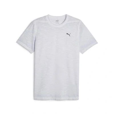 Afbeelding van PUMA M Studio Foundation Wash Tee, heren, Silver Mist