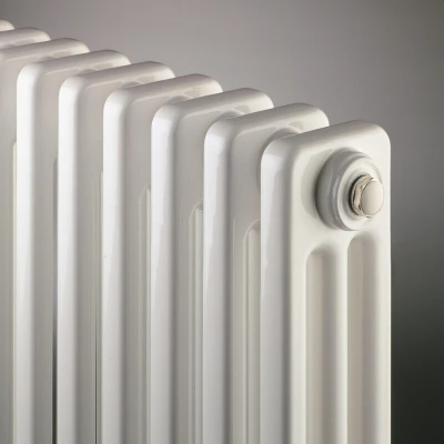 Afbeelding van Radson Delta kolomradiator 22 elementen met bevestiging 1432 Watt