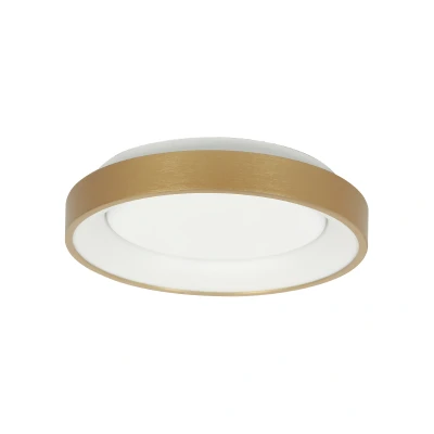 Afbeelding van Steinhauer plafonniere Ringlede goud metaal 28 cm ingebouwde LED module 3690GO